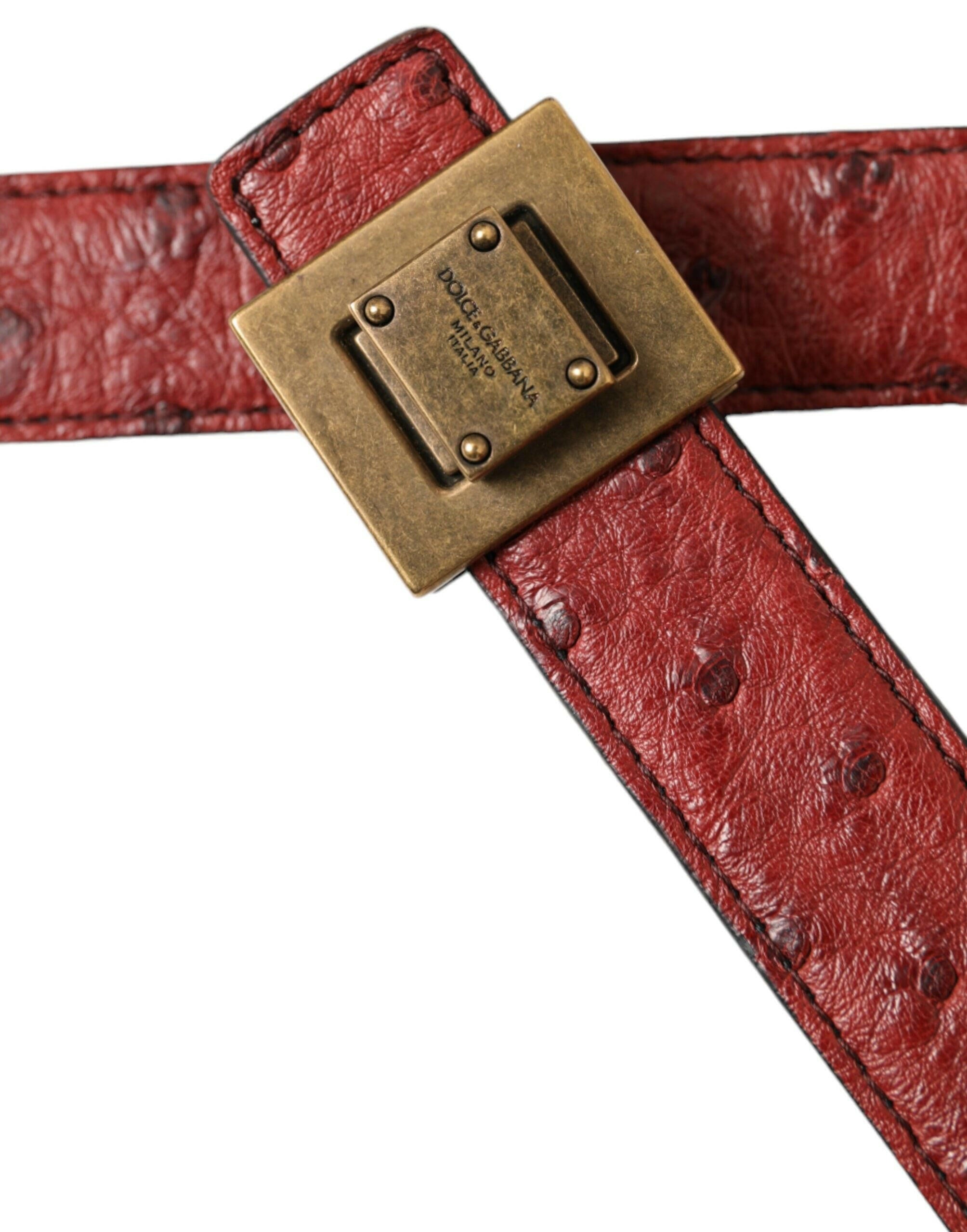 Dolce & Gabbana Brown Leather Square Metal Buckle Belt -   -  Dolce & Gabbana.