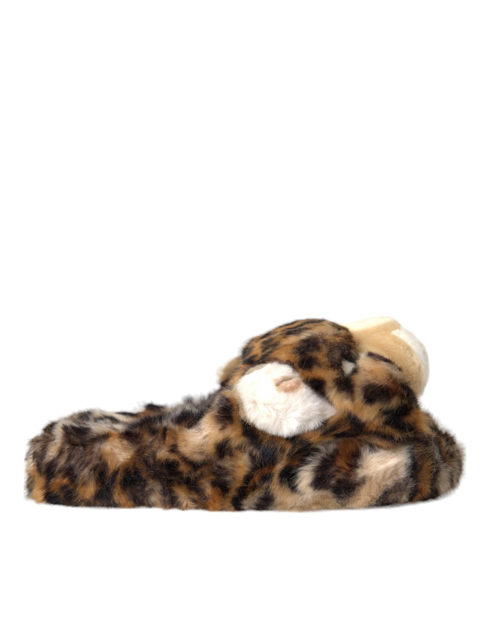 Dolce & Gabbana Brown Tiger Slippers Flats Sandals Shoes -   -  Dolce & Gabbana.