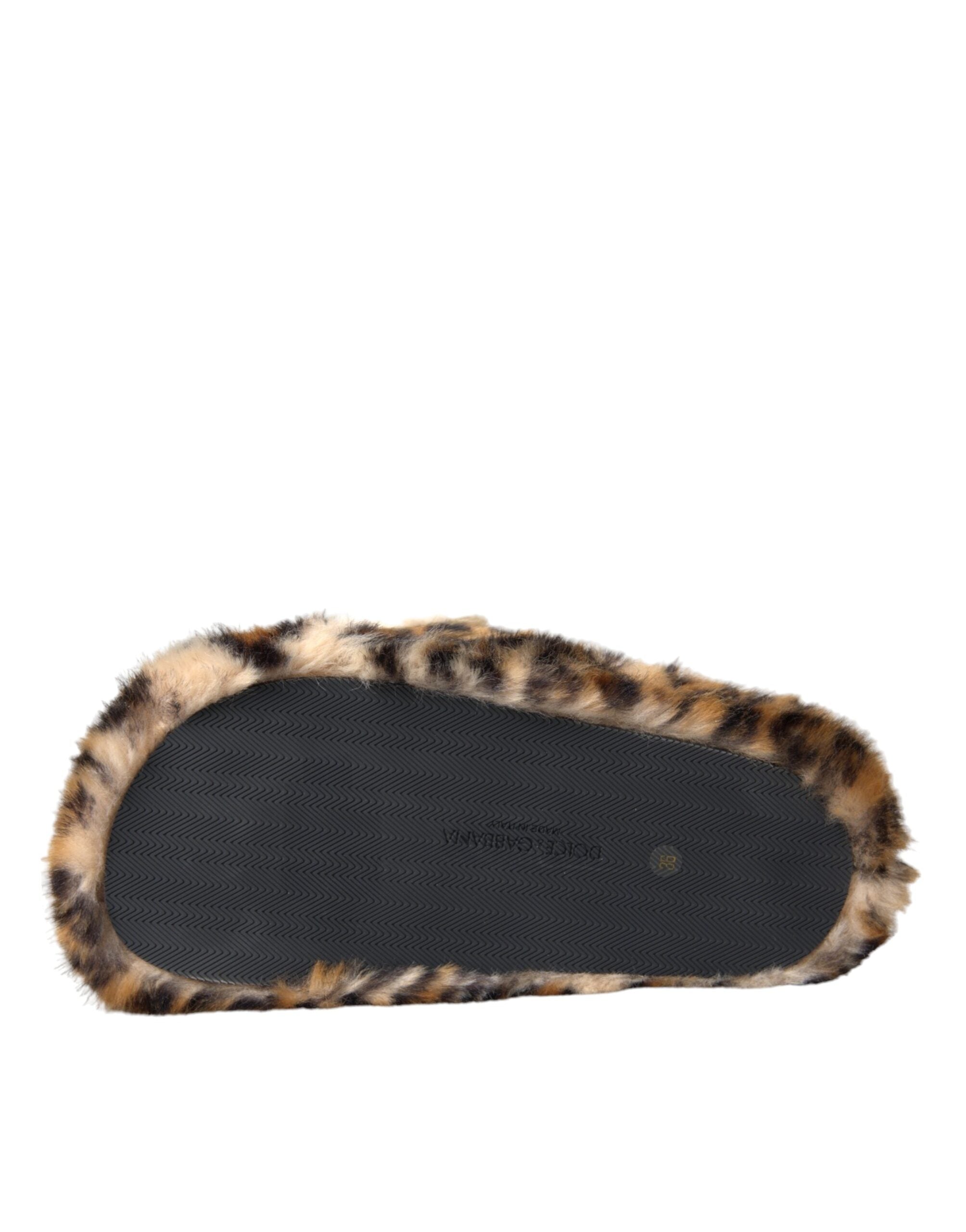 Dolce & Gabbana Brown Tiger Slippers Flats Sandals Shoes -   -  Dolce & Gabbana.