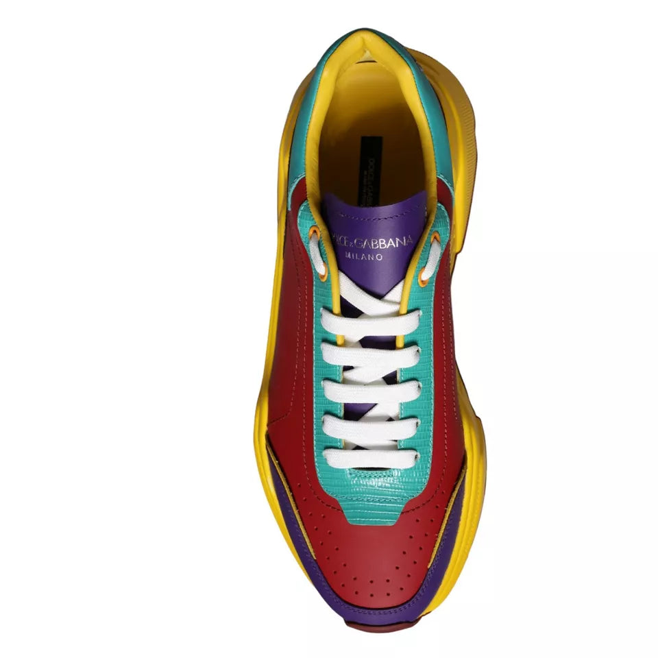 Dolce & Gabbana Multicolor Daymaster Low Top Sneakers Shoes -   -  Dolce & Gabbana.