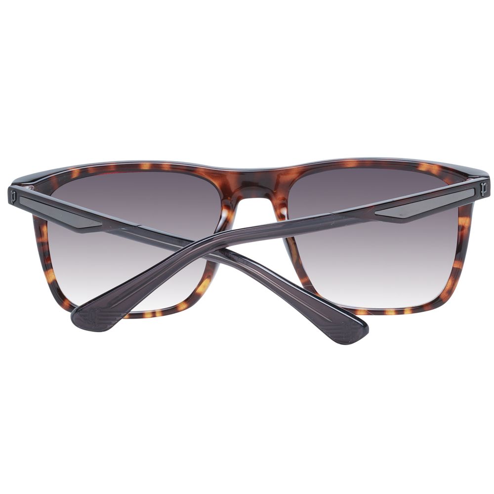 Police Brown Men Sunglasses -   -  Police.