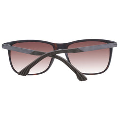 Police Brown Men Sunglass -   -  Police.