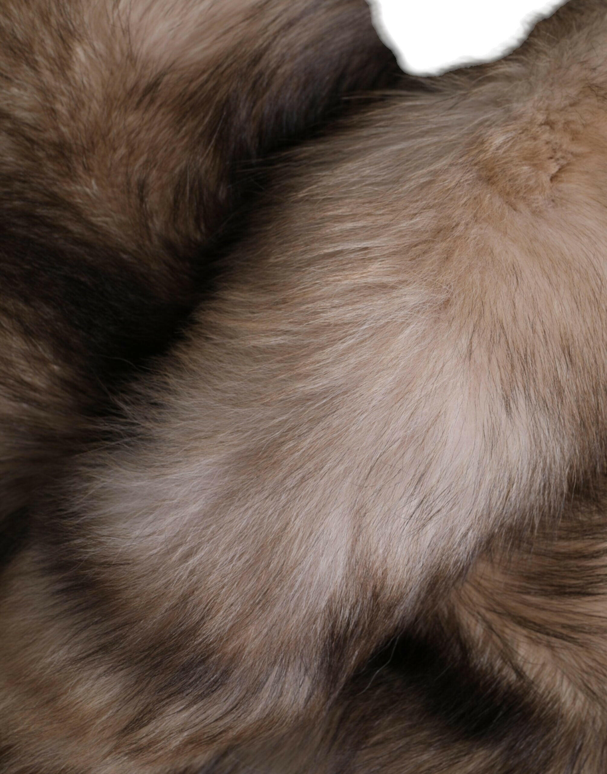 Dolce & Gabbana Brown Frost Fox Fur Neck Warmer Winter Scarf -   -  Dolce & Gabbana.