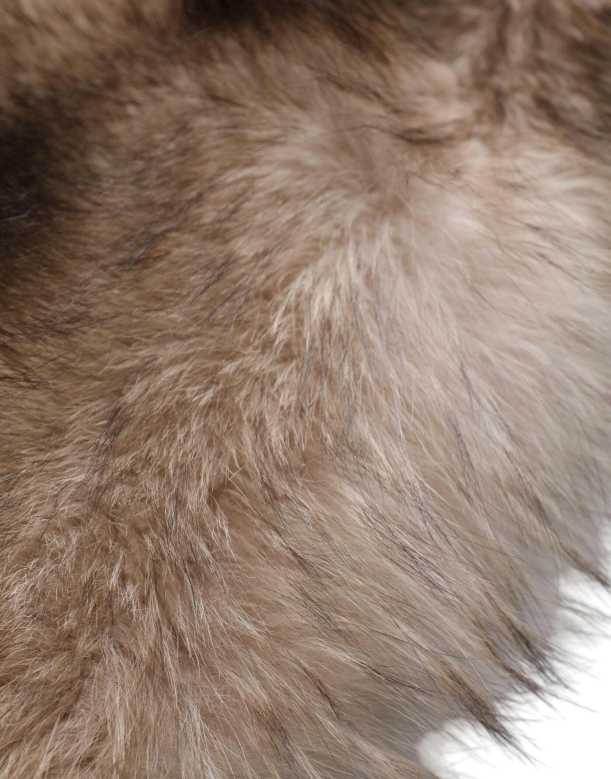 Dolce & Gabbana Brown Frost Fox Fur Neck Warmer Winter Scarf -   -  Dolce & Gabbana.