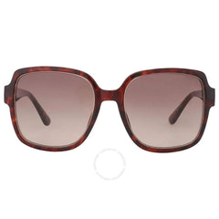 Guess Brown Resin Sunglasses -  Jewellery, Women -  Guess.