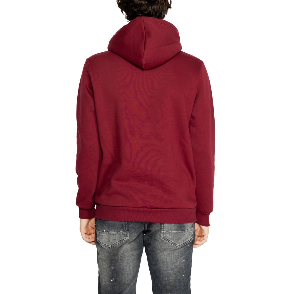 Icon Bordeaux Cotton Hoody -   -  Icon.