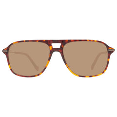 Hackett Brown Acetate Sunglasses -   -  Hackett.