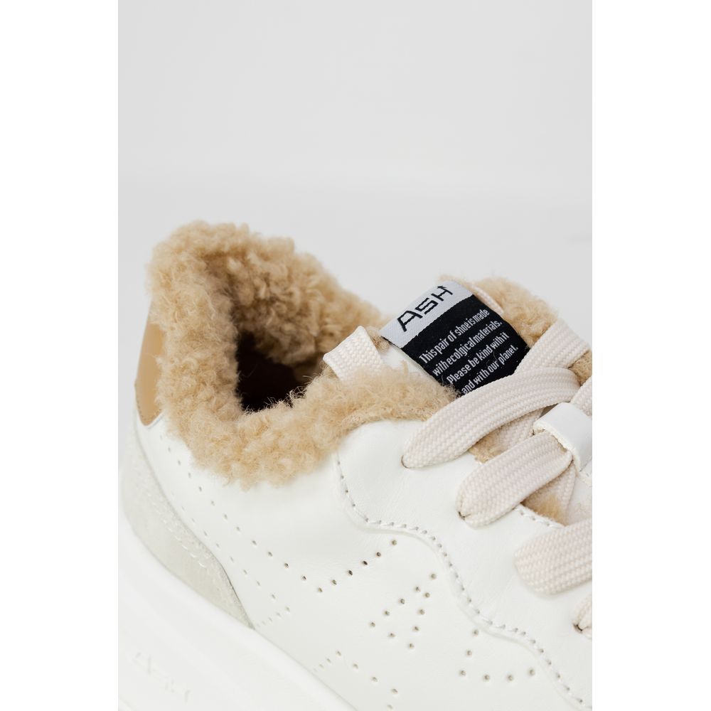 ASH Beige Leather Sneaker -   -  ASH.