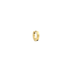 Ladies' Earrings AN Jewels AS.PH07Y -  Jewellery, Women -  AN Jewels.