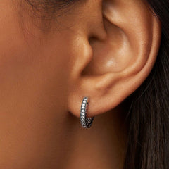 Ladies' Earrings Pandora 296317CZ -  Jewellery, Women -  Pandora.