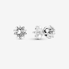 Ladies' Earrings Pandora 290023C01 -  Jewellery, Women -  Pandora.