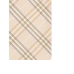 Burberry's silk scarf -   -  Burberry.
