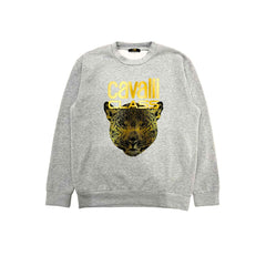 Cavalli Class Gray Polyester Men Sweater -   -  Cavalli Class.