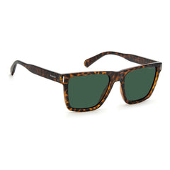 Polaroid Brown Plastic Sunglasses -   -  Polaroid.