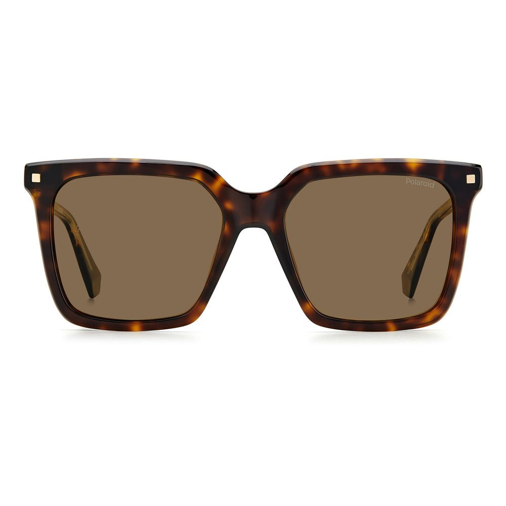 Polaroid Brown Acetate Sunglasses -  Jewellery, Women -  Polaroid.