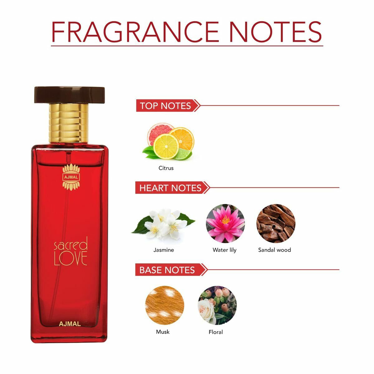 Women's Perfume Ajmal EDP -  Beauty, Perfumes and fragrances -  Ajmal.