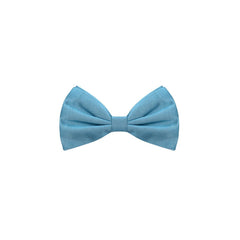 Dolce & Gabbana Blue Silk Bowty -   -  Dolce & Gabbana.