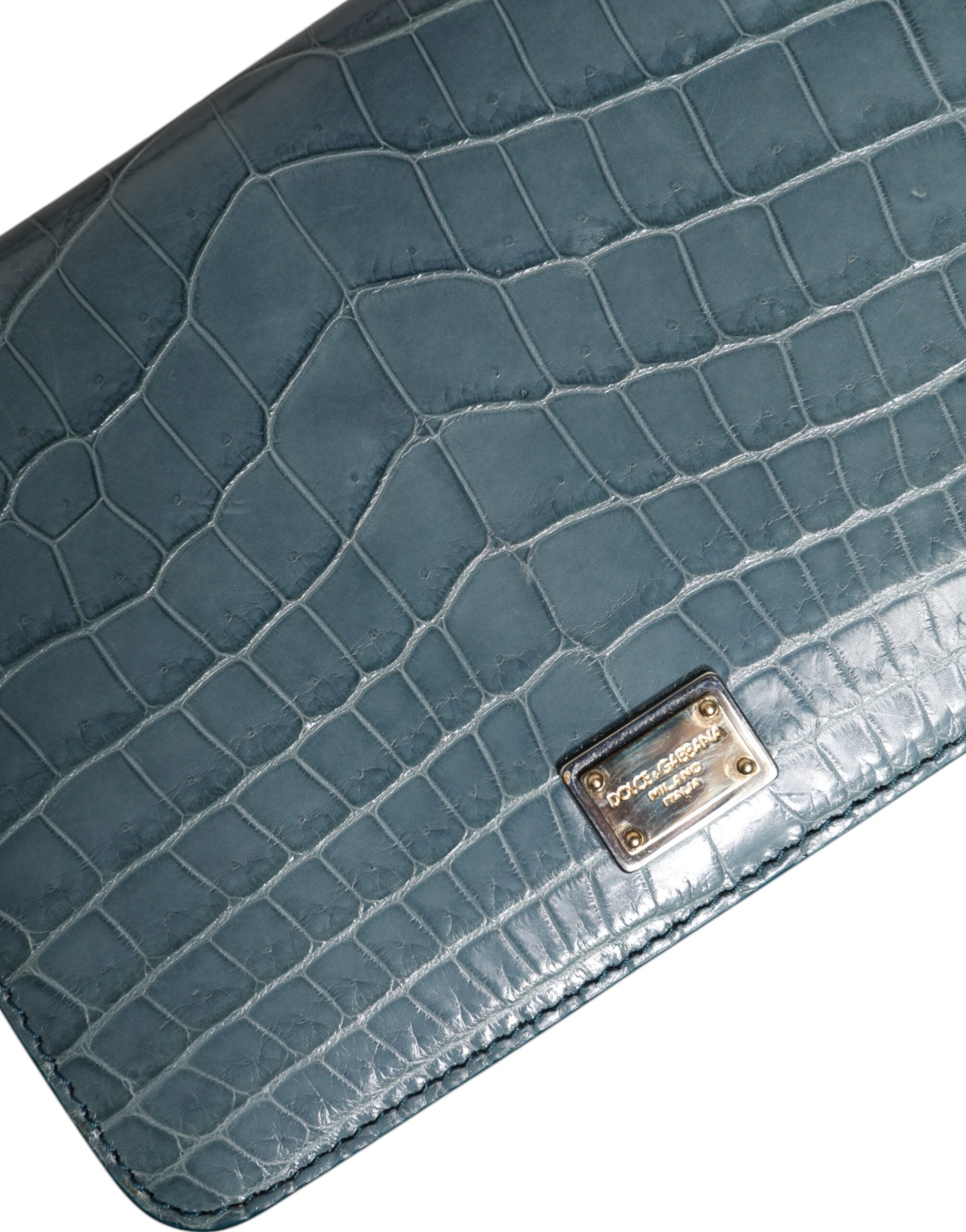 Dolce & Gabbana Green Exotic Leather DG Plaque Crossbody Mini Bag -   -  Dolce & Gabbana.