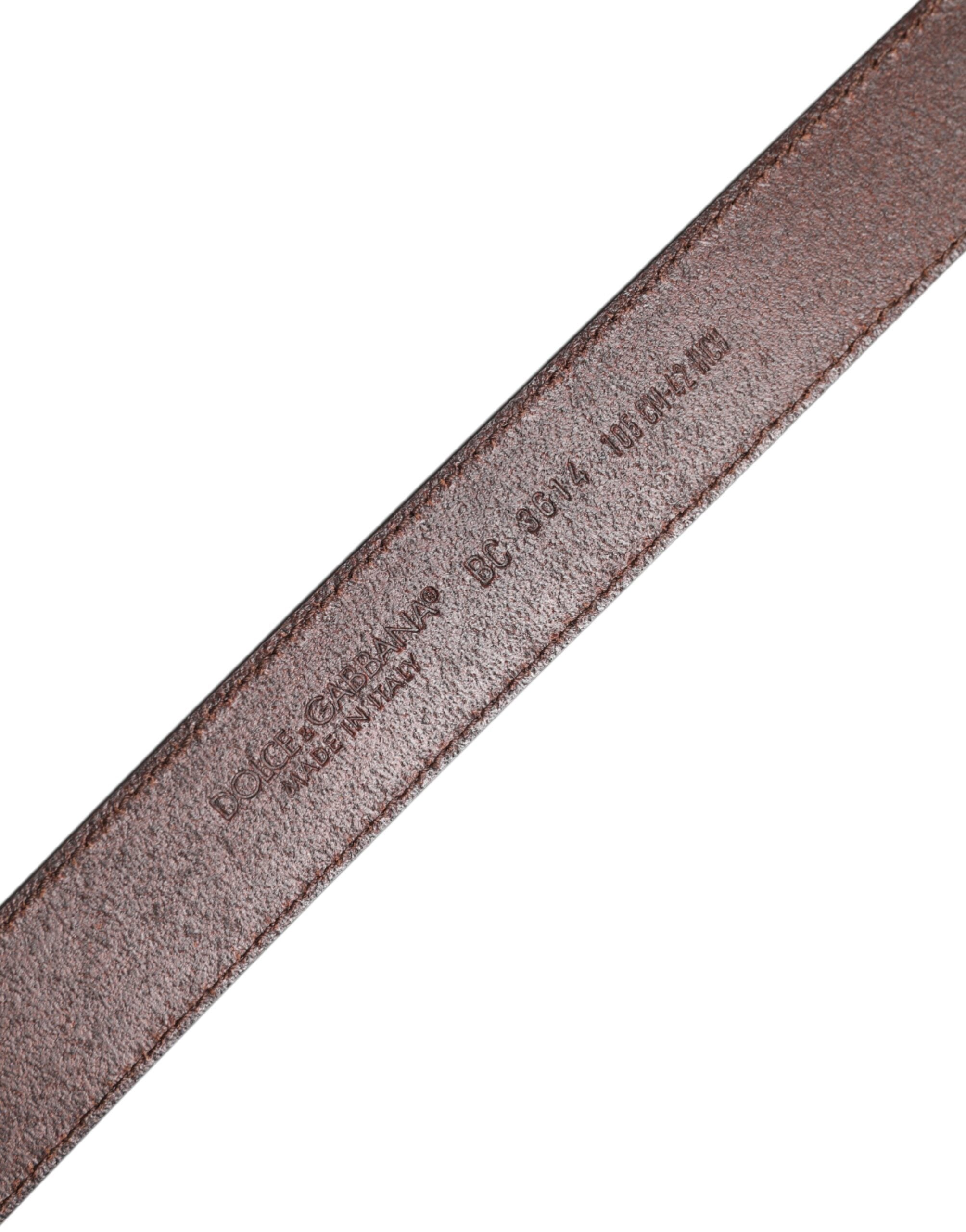 Dolce & Gabbana Brown Classic Calf Leather Metal Buckle Belt -   -  Dolce & Gabbana.
