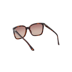 Guess Jeans Brown Injected Women Sunglasses -   -  Guess Jeans.
