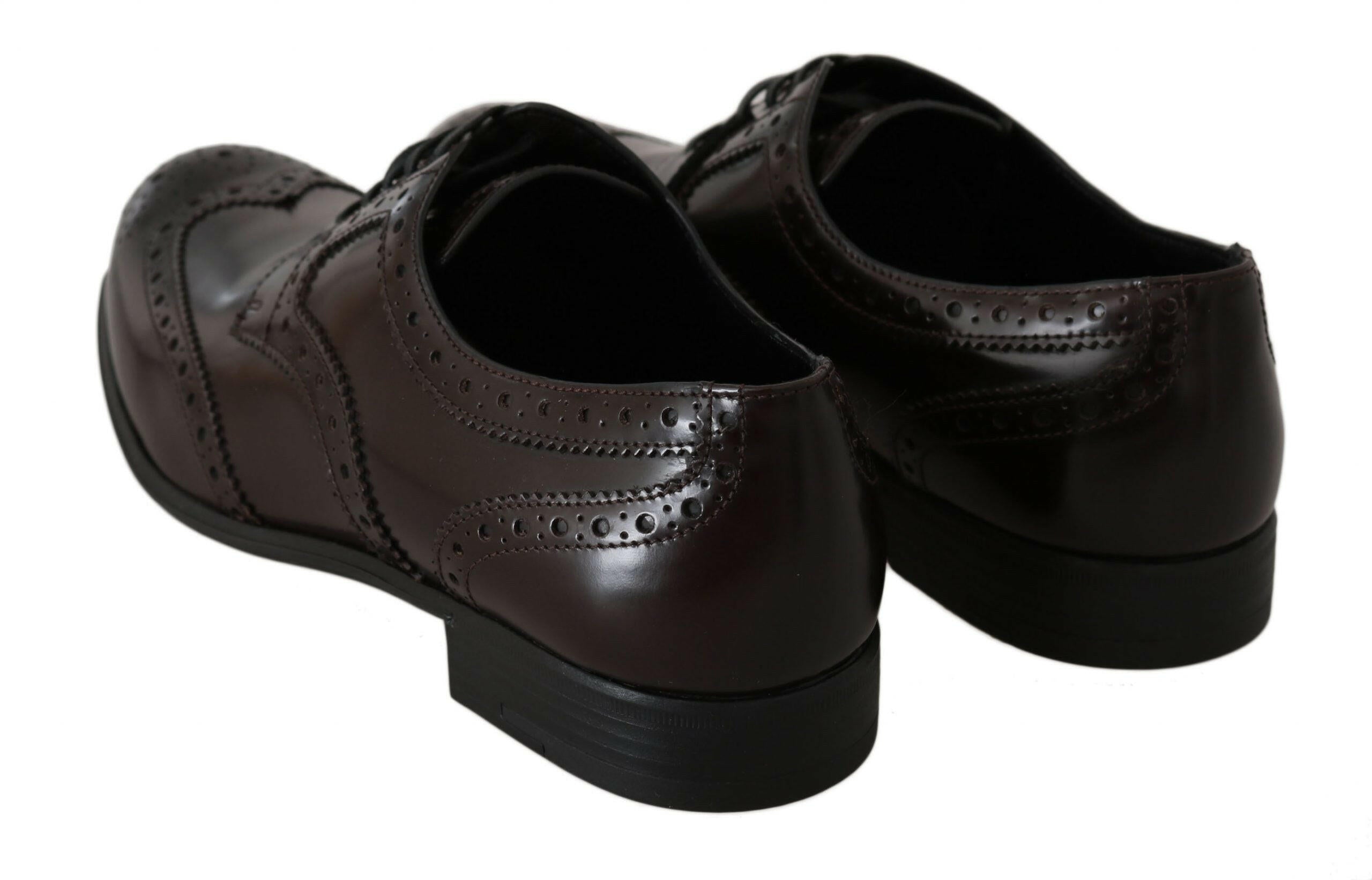 Dolce & Gabbana Brown Leather Broques Oxford Wingtip Shoes -   -  Dolce & Gabbana.