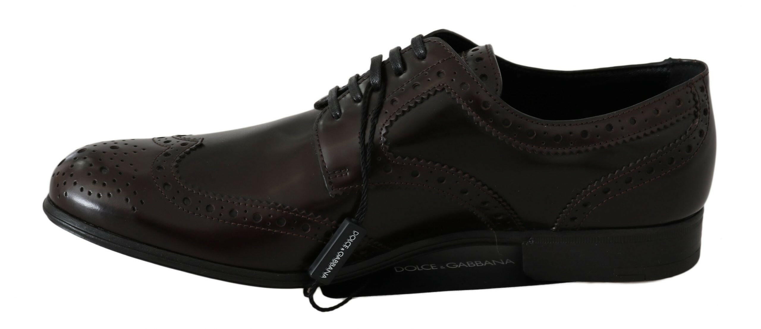 Dolce & Gabbana Brown Leather Broques Oxford Wingtip Shoes -   -  Dolce & Gabbana.