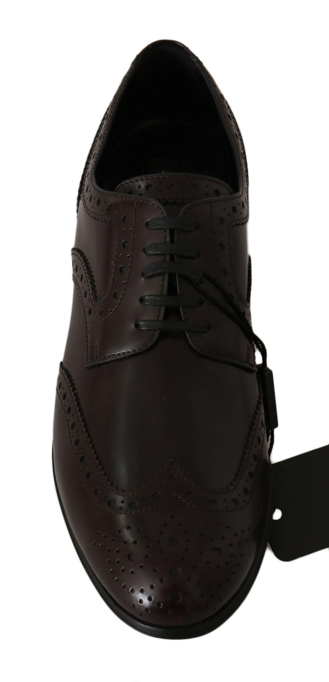 Dolce & Gabbana Brown Leather Broques Oxford Wingtip Shoes -   -  Dolce & Gabbana.