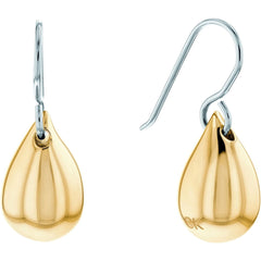 Ladies' Earrings Calvin Klein 1681338 -  Jewellery, Women -  Calvin Klein.