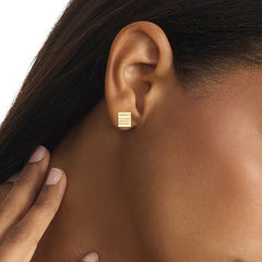 Ladies' Earrings Calvin Klein 35000371 -  Jewellery, Women -  Calvin Klein.
