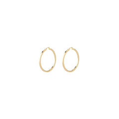 Ladies' Earrings Guess JUBE04200JWYGT-U -  Jewellery, Women -  Guess.