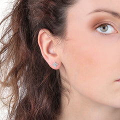 Ladies' Earrings La Petite Story LPS02ARQ12 -  Jewellery, Women -  La Petite Story.