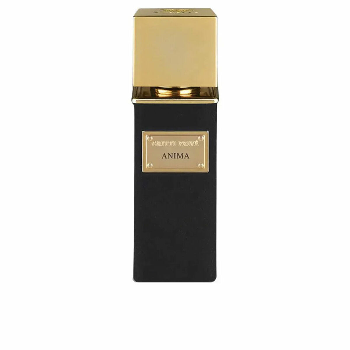 Men's Perfume Gritti ANIMA EXTRAIT DE PARFUM EDP 100 ml -  Beauty, Perfumes and fragrances -  Gritti.
