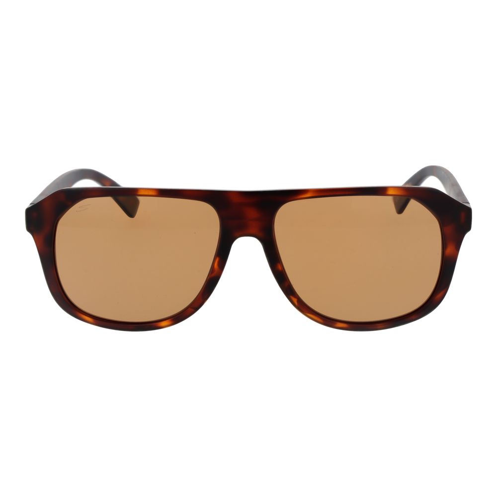 Serengeti Brown Men Sunglasses -   -  Serengeti.