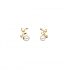 Ladies' Earrings Majorica 16585.01.1.000.010.1 -  Jewellery, Women -  Majorica.