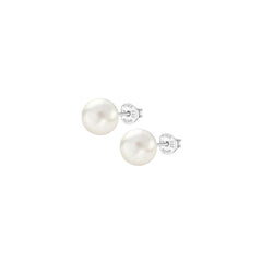 Ladies' Earrings Lotus WS00001/10 -  Jewellery, Women -  Lotus.