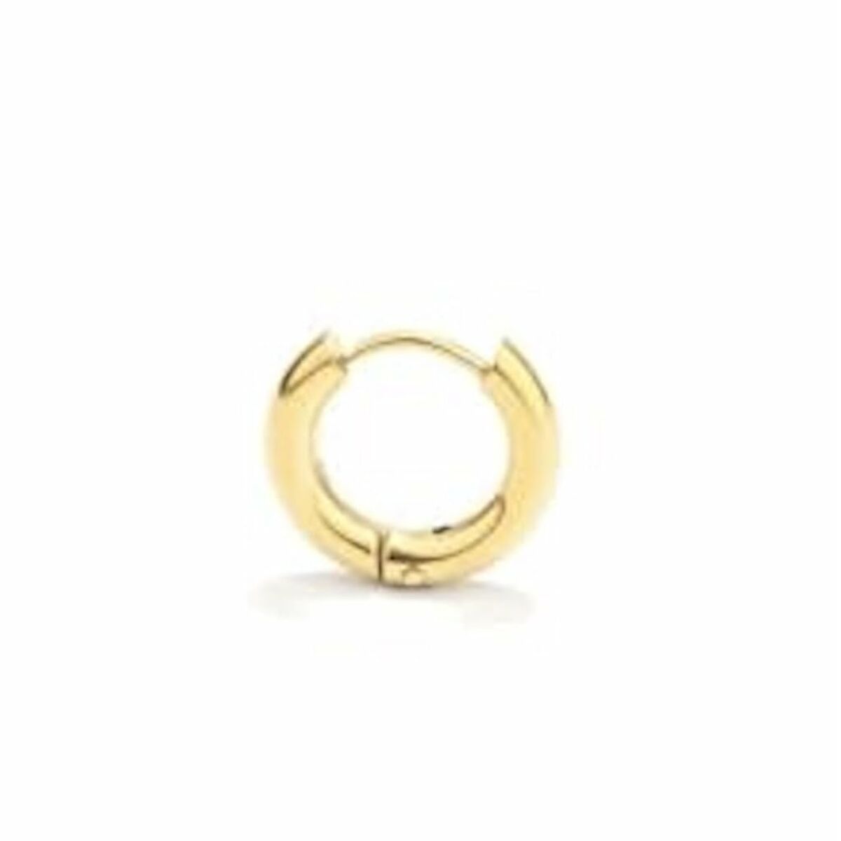 Earrings Radiant RH000035 -  Jewellery, Women -  Radiant.