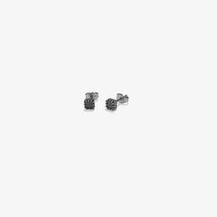 Ladies' Earrings Radiant RH000182 -  Jewellery, Women -  Radiant.