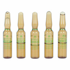 Ampoules Endoncare Tensage Regenerative (10 x 2 ml) -  Beauty, Skin care -  Endocare.