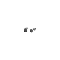 Ladies' Earrings Radiant RH000182 -  Jewellery, Women -  Radiant.