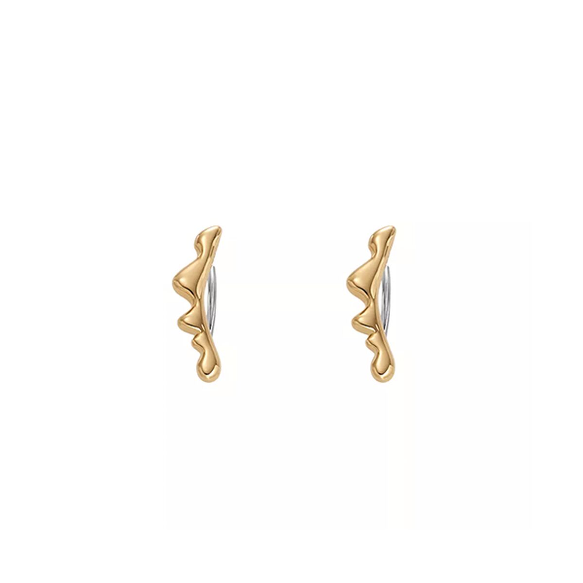 Ladies' Earrings Skagen SKJ1773710 -  Jewellery, Women -  Skagen.