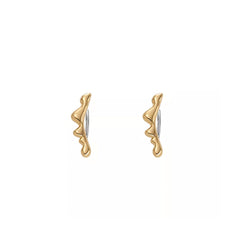 Ladies' Earrings Skagen SKJ1773710 -  Jewellery, Women -  Skagen.